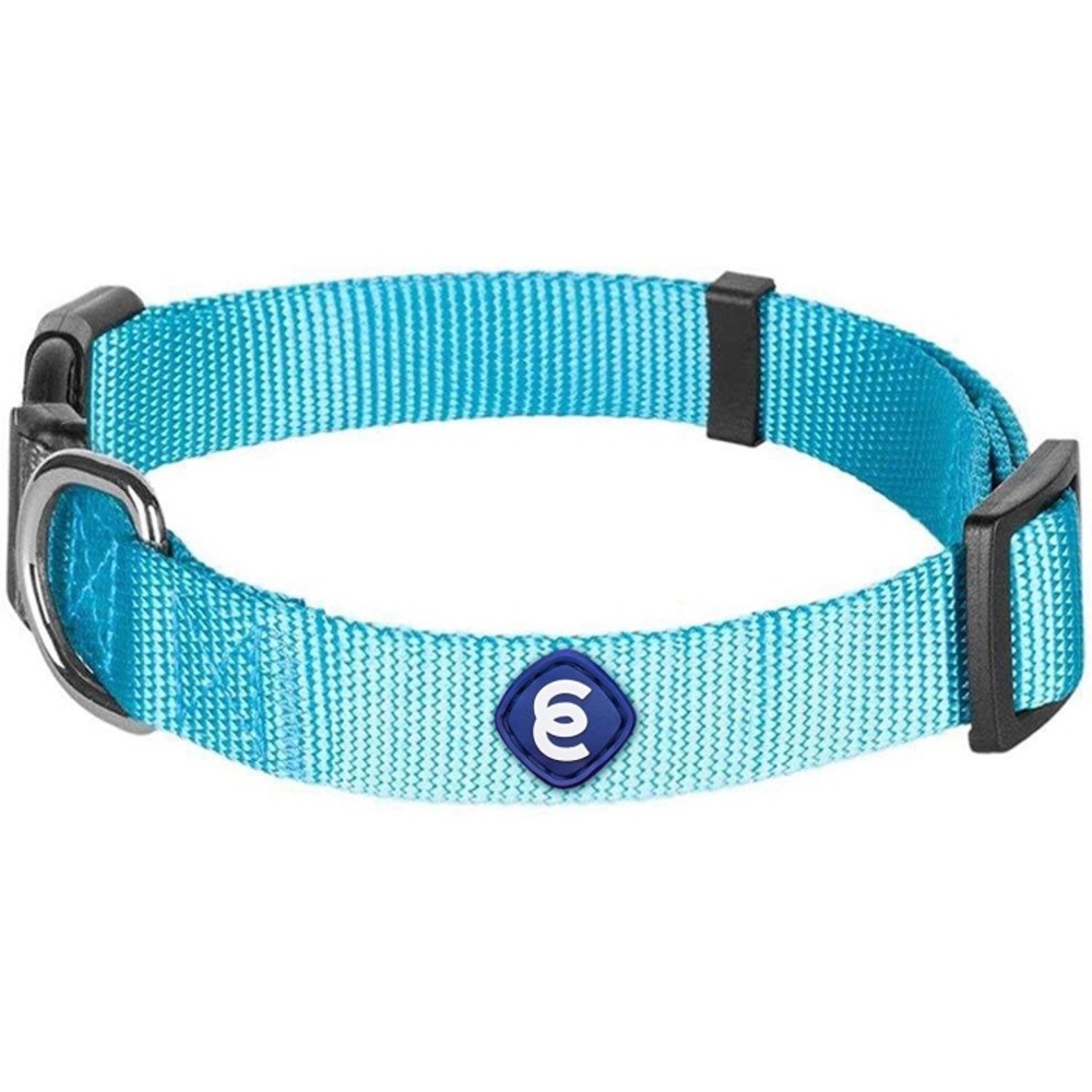 Blueberry Pet Essentials Dog Collar Size Small